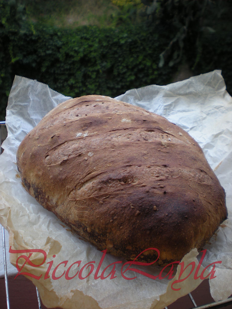 Pane di farina mista