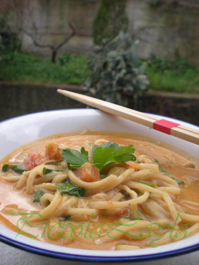 zuppa di noodles e verdure (14)b