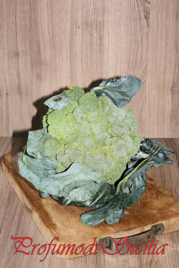broccolo-9b