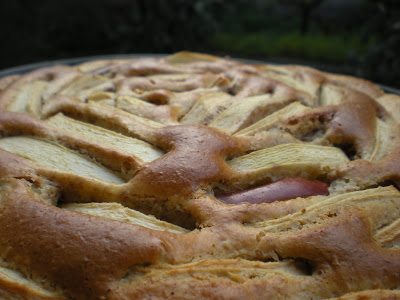 Torta di Mele dal sapore rustico